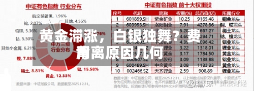 黄金滞涨，白银独舞？费用背离原因几何-第1张图片
