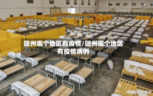 随州哪个地区有疫情/随州哪个地区有疫情病例-第2张图片