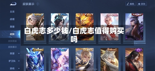白虎志多少钱/白虎志值得购买吗-第2张图片