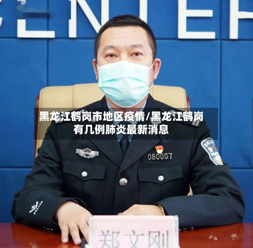 黑龙江鹤岗市地区疫情/黑龙江鹤岗有几例肺炎最新消息-第2张图片