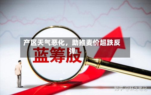 产区天气恶化	，助推麦价超跌反弹-第1张图片