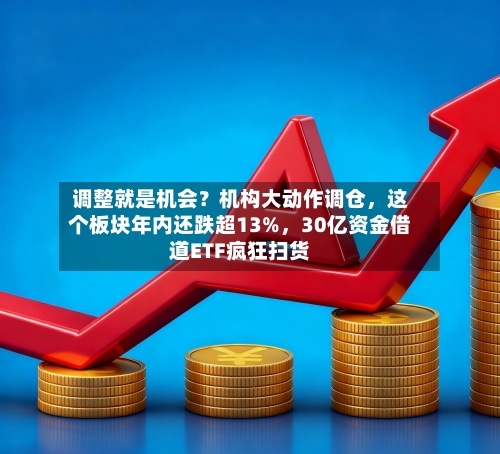 调整就是机会？机构大动作调仓，这个板块年内还跌超13%，30亿资金借道ETF疯狂扫货-第2张图片