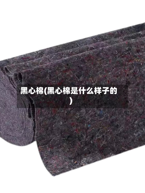 黑心棉(黑心棉是什么样子的)-第2张图片