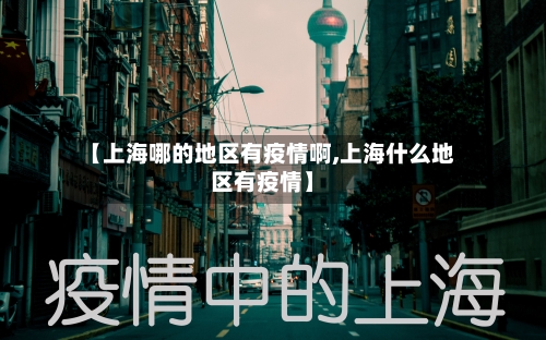 【上海哪的地区有疫情啊,上海什么地区有疫情】-第3张图片