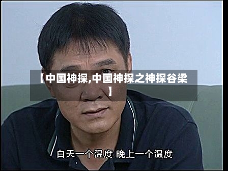【中国神探,中国神探之神探谷梁】-第2张图片