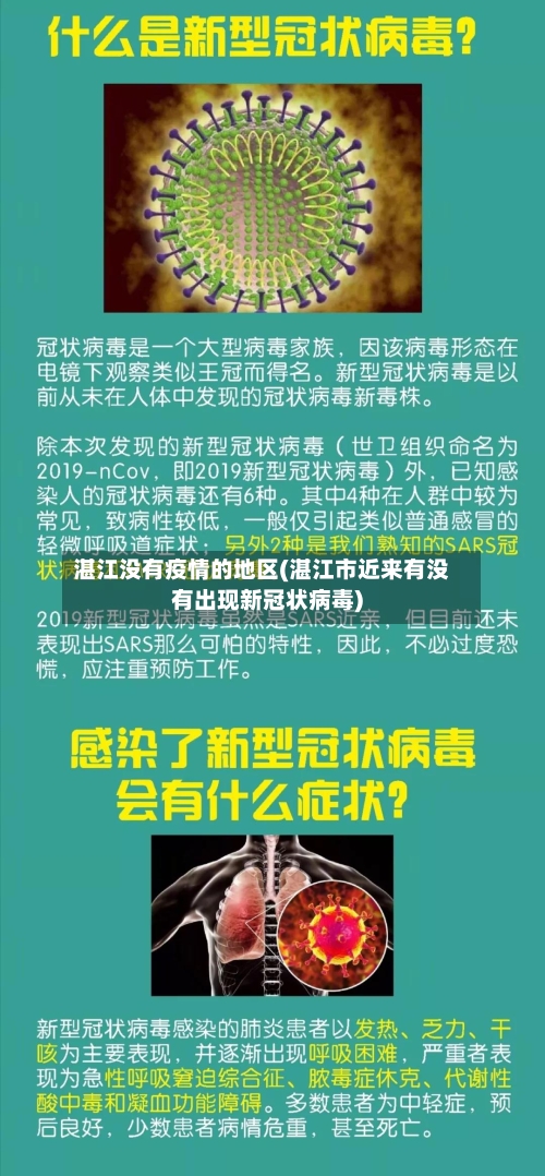 湛江没有疫情的地区(湛江市近来有没有出现新冠状病毒)-第2张图片