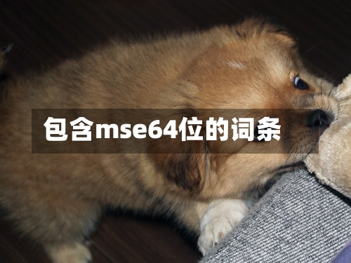 包含mse64位的词条-第2张图片
