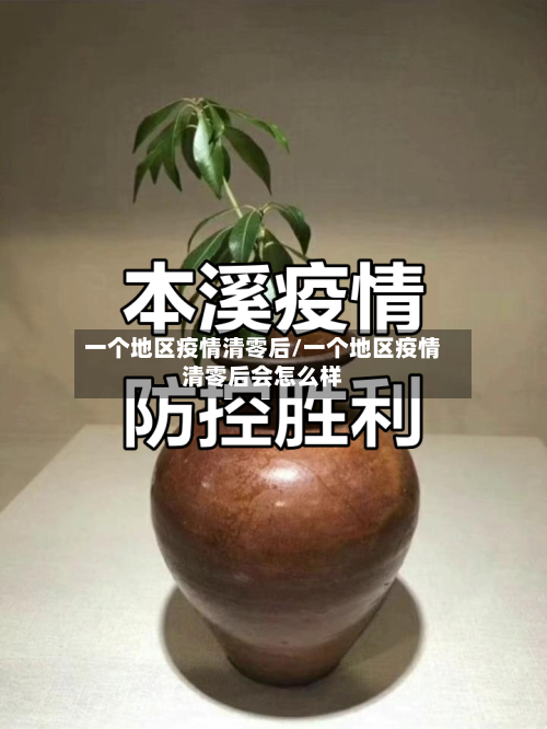 一个地区疫情清零后/一个地区疫情清零后会怎么样-第2张图片