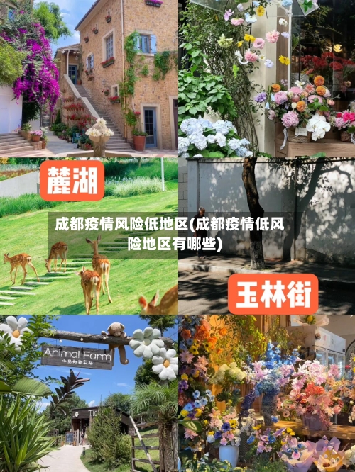 成都疫情风险低地区(成都疫情低风险地区有哪些)-第2张图片