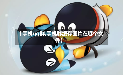 【手机qq群,手机群缓存图片在哪个文件】-第1张图片