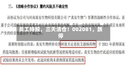 员工持股，三天清仓！002081	，跌停-第3张图片