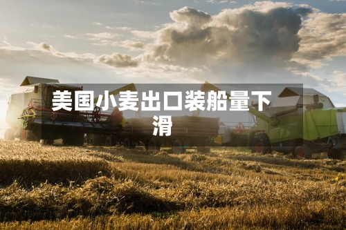 美国小麦出口装船量下滑-第1张图片