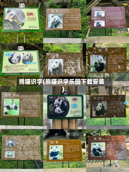 熊猫识字(熊猫识字乐园下载安装)-第1张图片