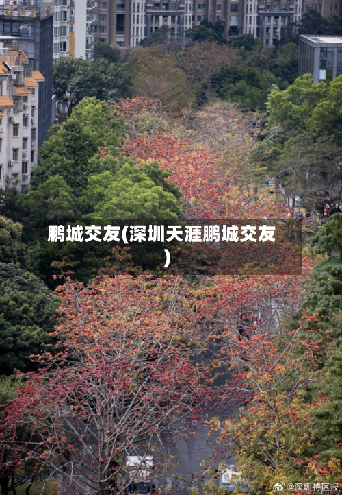 鹏城交友(深圳天涯鹏城交友)-第1张图片