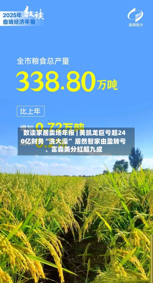 数读家居卖场年报 | 美凯龙巨亏超240亿财务“洗大澡” 居然智家由盈转亏	、富森美分红超九成-第1张图片