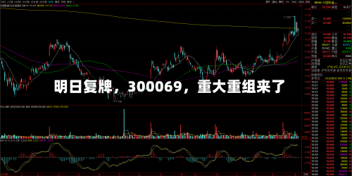 明日复牌，300069，重大重组来了-第2张图片