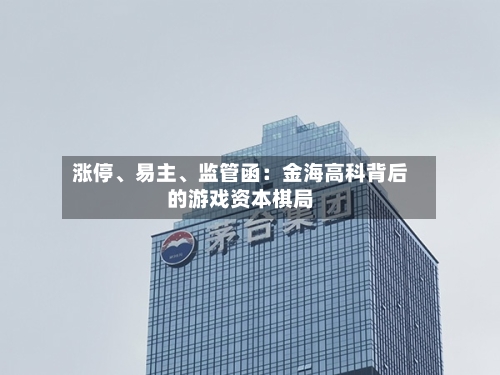 涨停	、易主、监管函：金海高科背后的游戏资本棋局-第2张图片