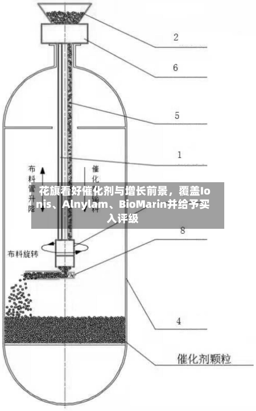 花旗看好催化剂与增长前景	，覆盖Ionis、Alnylam、BioMarin并给予买入评级-第1张图片