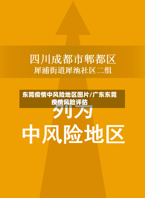 东莞疫情中风险地区图片/广东东莞疫情风险评估-第3张图片