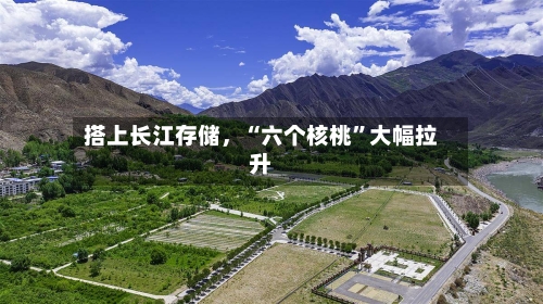 搭上长江存储，“六个核桃”大幅拉升-第3张图片