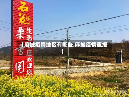 【麻城疫情地区有哪些,麻城疫情速报】-第1张图片