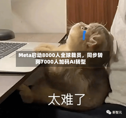 Meta启动8000人全球裁员，同步转岗7000人加码AI转型-第1张图片