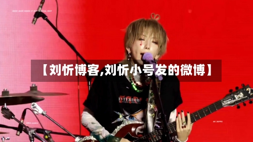 【刘忻博客,刘忻小号发的微博】-第2张图片