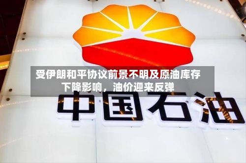 受伊朗和平协议前景不明及原油库存下降影响，油价迎来反弹-第3张图片