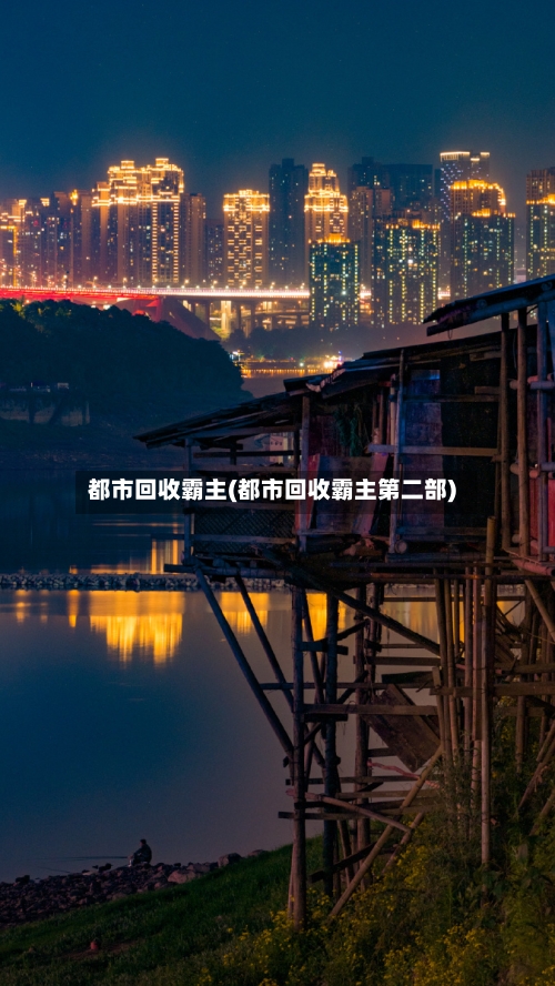 都市回收霸主(都市回收霸主第二部)-第3张图片