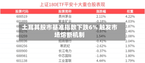 土耳其股市基准指数下跌6% 触发市场熔断机制-第2张图片