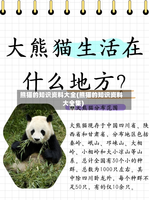 熊猫的知识资料大全(熊猫的知识资料大全集)-第2张图片