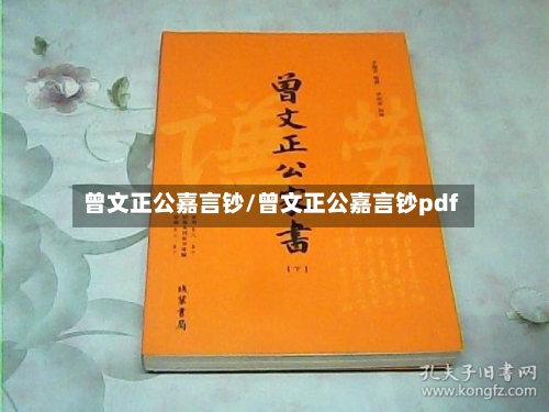 曾文正公嘉言钞/曾文正公嘉言钞pdf-第2张图片
