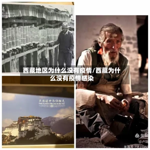 西藏地区为什么没有疫情/西藏为什么没有疫情感染-第3张图片