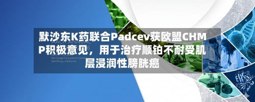 默沙东K药联合Padcev获欧盟CHMP积极意见，用于治疗顺铂不耐受肌层浸润性膀胱癌-第1张图片