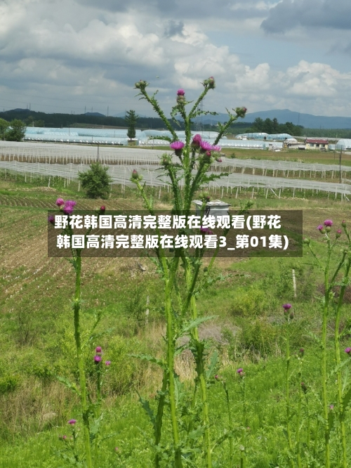 野花韩国高清完整版在线观看(野花韩国高清完整版在线观看3_第01集)-第2张图片