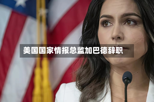 美国国家情报总监加巴德辞职-第2张图片