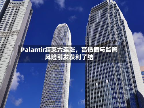 Palantir结束六连涨	，高估值与监管风险引发获利了结-第3张图片