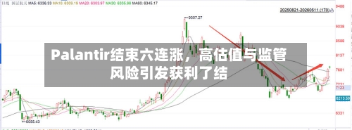 Palantir结束六连涨，高估值与监管风险引发获利了结-第1张图片
