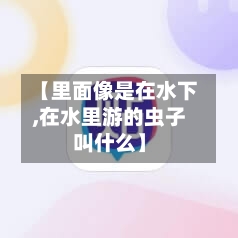 【里面像是在水下,在水里游的虫子叫什么】-第1张图片
