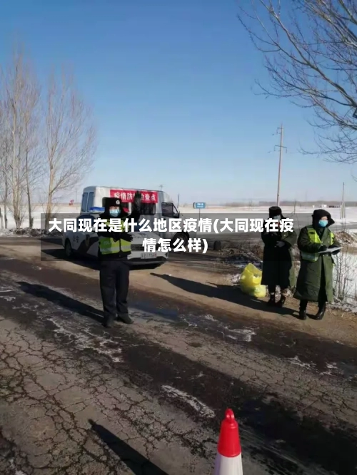 大同现在是什么地区疫情(大同现在疫情怎么样)-第3张图片