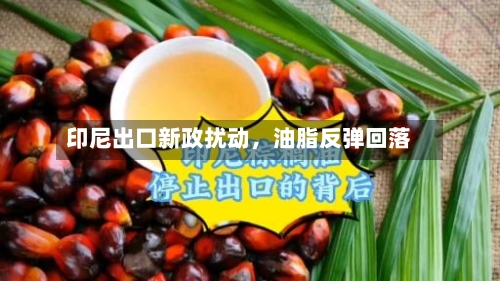 印尼出口新政扰动，油脂反弹回落-第1张图片