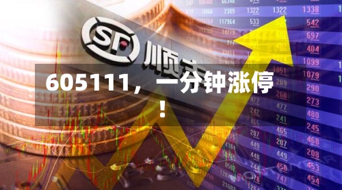 605111	，一分钟涨停！-第1张图片
