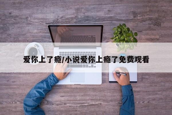 爱你上了瘾/小说爱你上瘾了免费观看